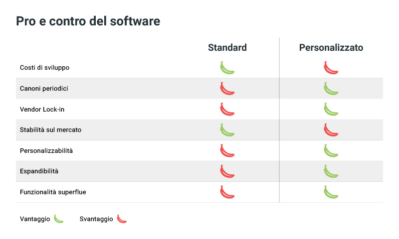 schema confronto software standard e software personalizzati con mojo mascotte di Dreamonkey