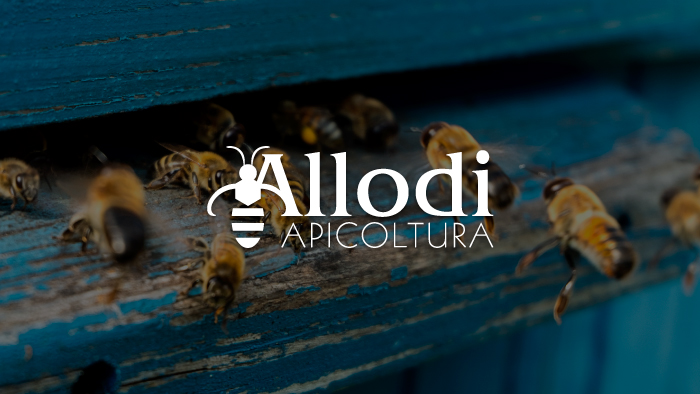 Logo Allodi